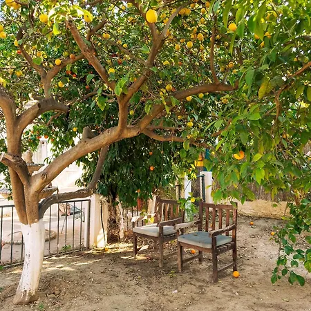 Charming * Τορρεμολίνος